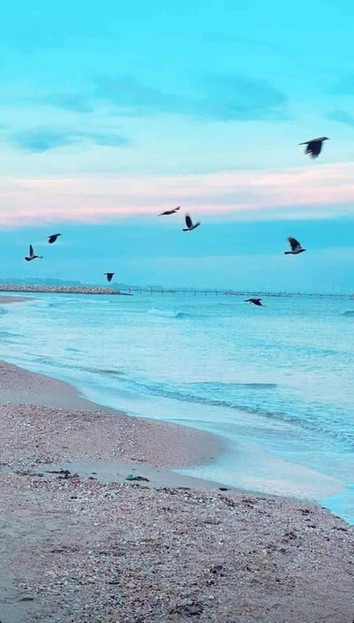 Ayan Moonlight Residence Mamaia Dış mekan fotoğraf